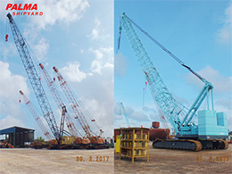 Cranes (Up To 250 T)